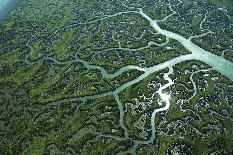 Salf Marshes Spain